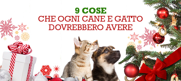 9 cose che cani e gatti dovrebbero avere