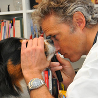 Luca Ferrero Veterinario