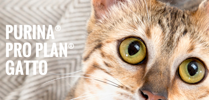 Purina Pro Plan per gatti - / vite