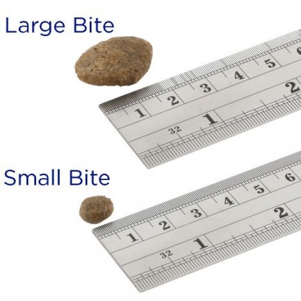 Fish4Dogs Finest Salmon Adult pour chiens