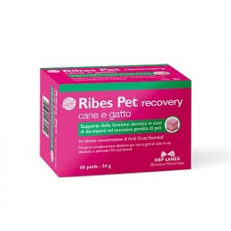Nbf Lanes Ribes Pet Pearls für Hunde und...