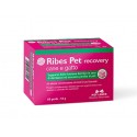 Nbf Lanes Ribes Pet Pearls für Hunde und Katzen
