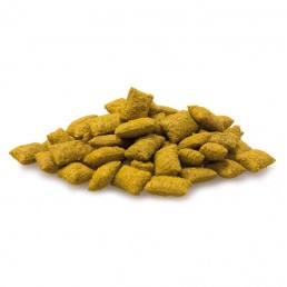 Arquivet Snack al Formaggio per Gatti