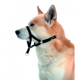 Master Control Training Muzzle