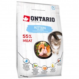 Ontario Cat Kitten Lachs...