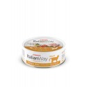 ItalianWay Classic Fit Chicken and Rice Wet Food for Cats