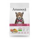Amanova Adult Cat Salmon pour chats