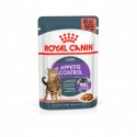 Royal Canin Care Appetitive Control Wet Food for Cats