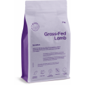 Buddy Grass-Fed Lamb for Dogs