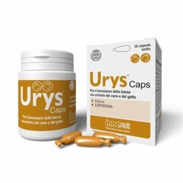 Innovet Urys Caps per Cani...