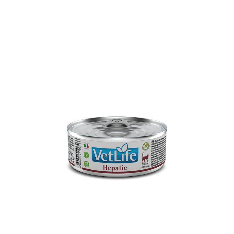 Hepatic wet deals cat food