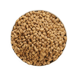 Ownat Author Grain Free con Pesce Azzurro e Pollame per Gatti