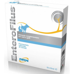 DRN Enterofilus en flacons pour chiens et...