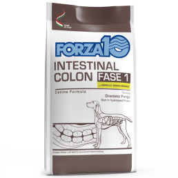 Forza10 Intestinal Colon Phase 1...