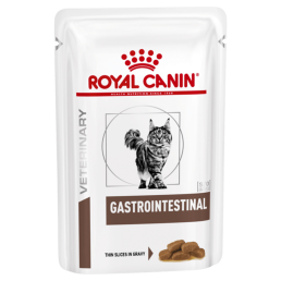 Gastrointestinal Umido Gatto