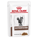 Gastrointestinal Umido Gatto