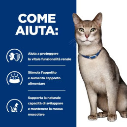 Hill's Prescription Diet k/d Cibo Umido per Gatti