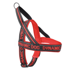 Dynamisches Hundegeschirr Rot