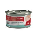 Aequilibriavet Wet Gastro for Cats