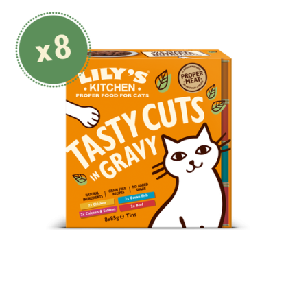 Cat gravy for dry food shop