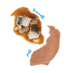 Schesir Sardine Alimentation humide pour chats