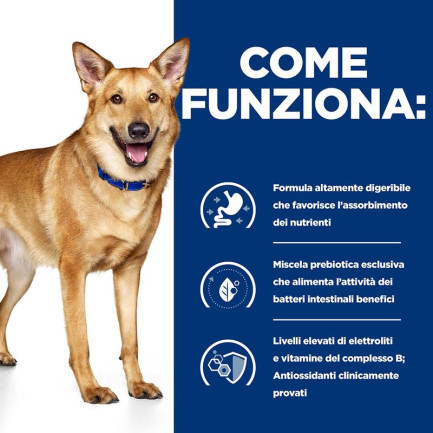 I/D Canine Secco