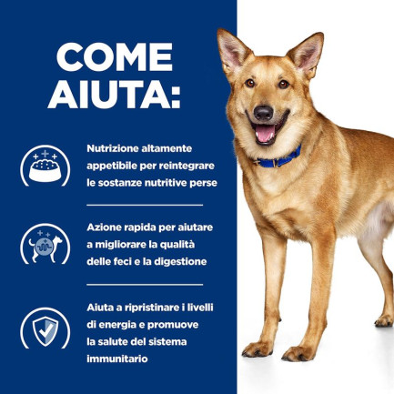 I/D Canine Secco