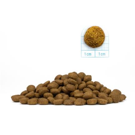 Forza10 Intestinal Colon per Gatti
