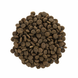 Conejo Brit Care Sterilised Sensitive para gatos