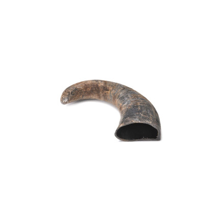 Buffalo Horns for Dogs