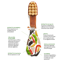 Whimzees Cepillo de Dientes Snack Vegetal para Perros