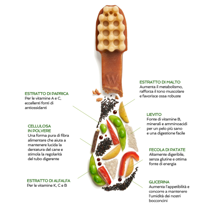 Brosse à dents pour chiens Whimzees Vegetable Snack