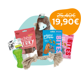 GiftBox Fido per Cani