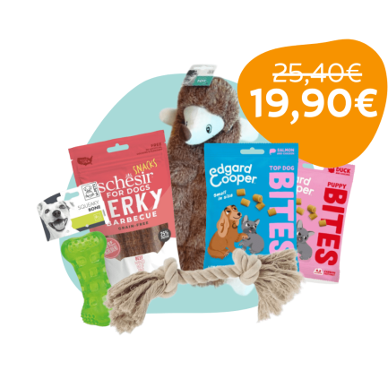 GiftBox Fido for Dogs