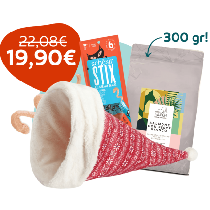 GiftBox Artù per Gatti