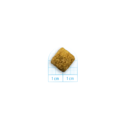 Forza10 Intestinal Colon Phase 1 pour chiens
