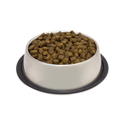 Arquivet Fresh Salmone e Tacchino per Cani