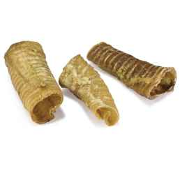 Arquivet Trachea Disidratata Snack per Cani