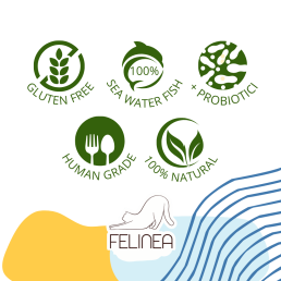 Felinea Wet Food in Sauce for Cats