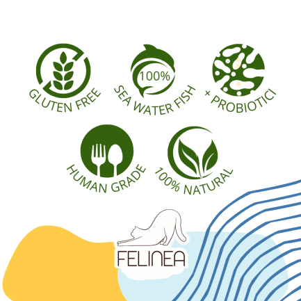 Felinea Wet Food in Sauce for Cats