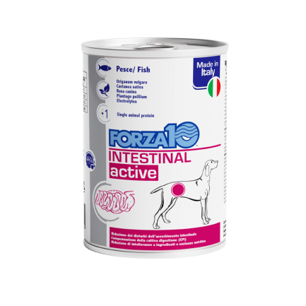 Forza10 Intestinal Active Cibo Umido per Cani