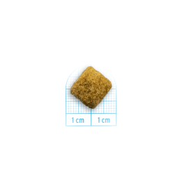 Forza10 Intestinal Colon Fase 1 Agnello e Sorgo Bianco per Cani