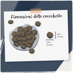 Venandi Animal Agnello Cibo Secco per Gatti