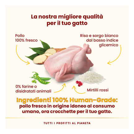 Almo Nature HFC Our Best Sterilised per Gatti