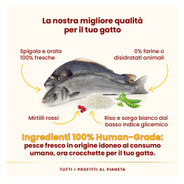 Almo Nature HFC Our Best Sterilised per Gatti