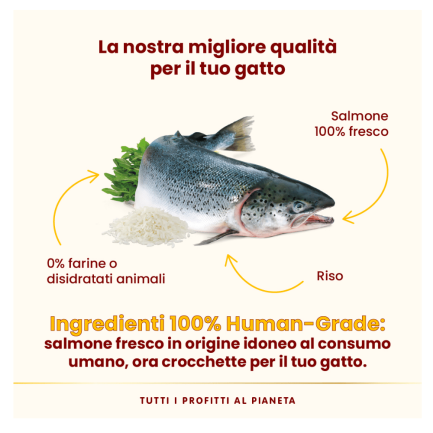 Almo Nature HFC Our Best Highly Appetizing Salmone per Gatti