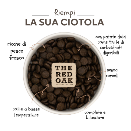 Le saumon et la truite du chêne rouge sans céréales pour chiens