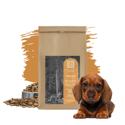 Red Oak Puppy Huhn, Pute und Lachs getreidefrei für Welpen