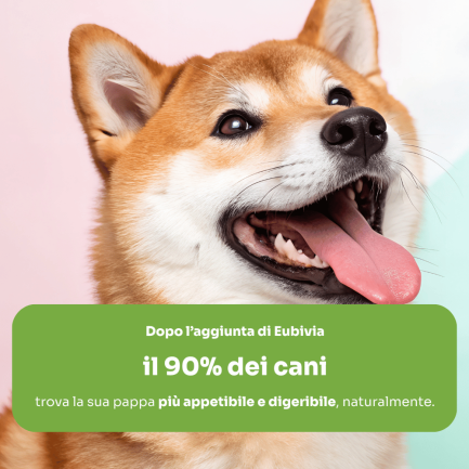 EubiVia Supplément intestinal fonctionnel pour chiens