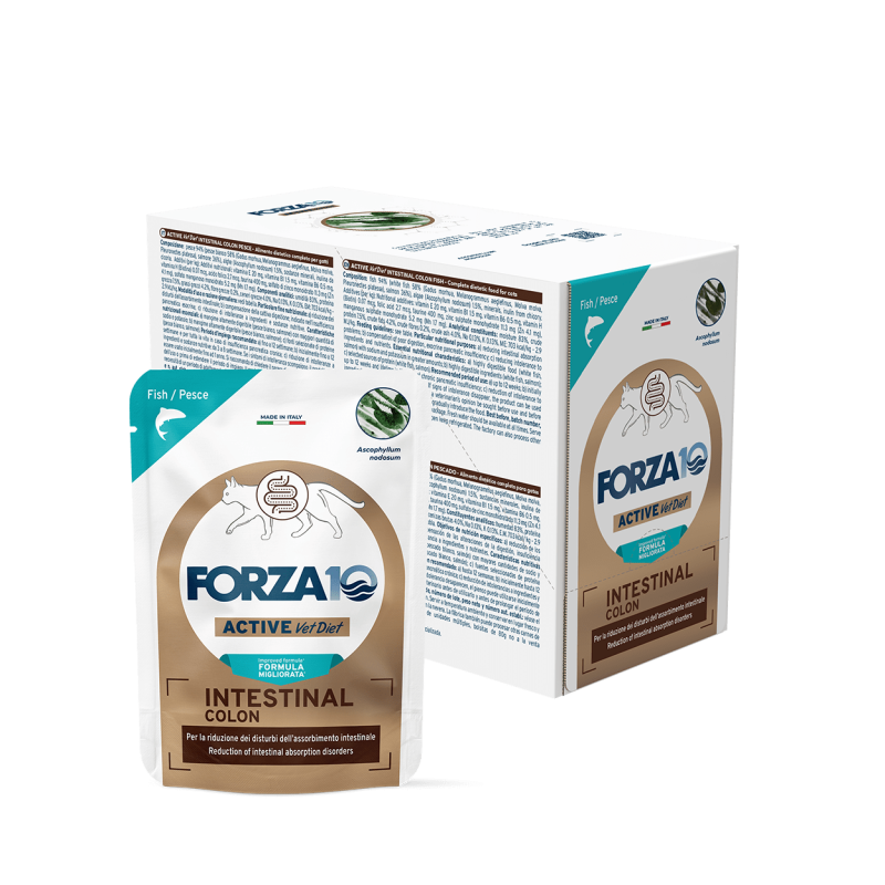 Forza10 Intestinal Colon Veterinary wet food for cats | Paco